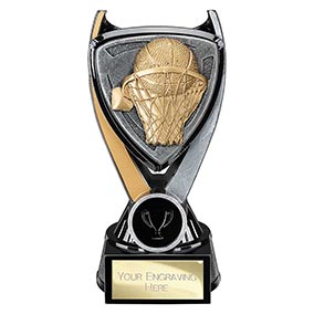 Wolverine Basketball Trophy 160mm