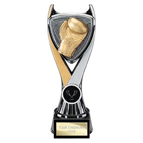 Wolverine Boxing Trophy 200mm