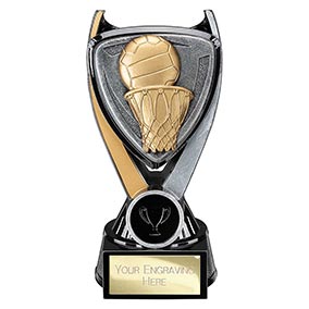 Wolverine Netball Trophy 160mm