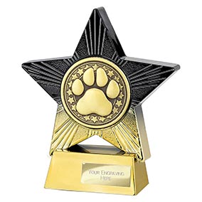 Superstar Dog Agility Trophy 140mm