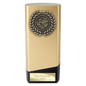 Gold Prime Multisport Trophy 160mm Gold Prime Multisport Trophy 160mm