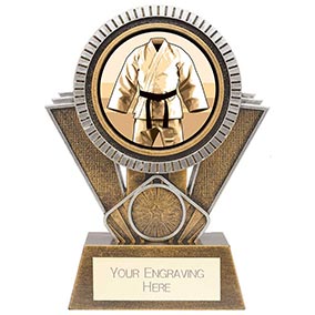 Martial Arts Apex Award 155mm