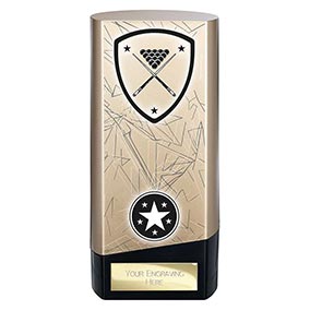 Gold Prime Snooker Pool Trophy 160mm