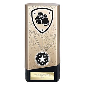 Gold Prime Boxing Trophy 160mm