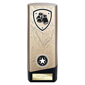 Gold Prime Boxing Trophy 190mm