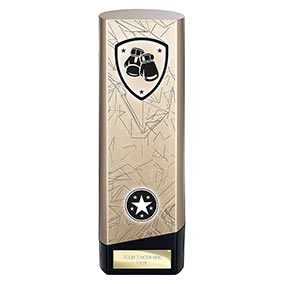 Gold Prime Boxing Trophy 220mm