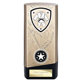 Gold Prime Martial Arts Trophy 160mm