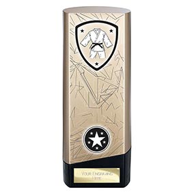 Gold Prime Martial Arts Trophy 190mm