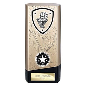 Gold Prime Netball Trophy 160mm