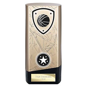 Gold Prime Basketball Trophy 160mm