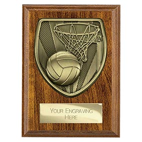 Brown Cobra Netball Plaque 125mm