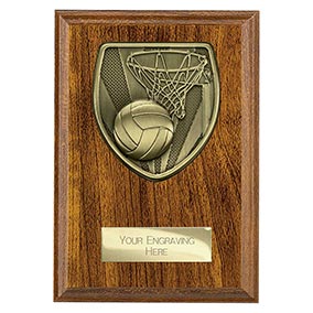 Brown Cobra Netball Plaque 150mm