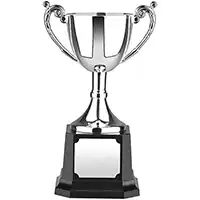 6in Worldwide Cup Award