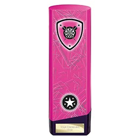 Pink Prime Darts Trophy 220mm