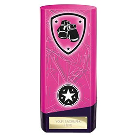 Pink Prime Boxing Trophy 160mm