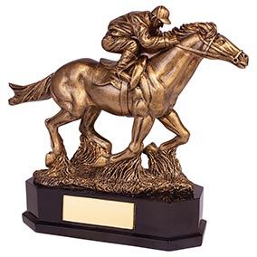 Aintree Deluxe Equestrian Trophy