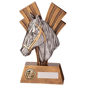 Xplode Equestrian Award