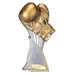 Total KO Boxing Trophy 240mm