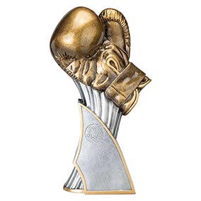 Total KO Boxing Trophy 260mm