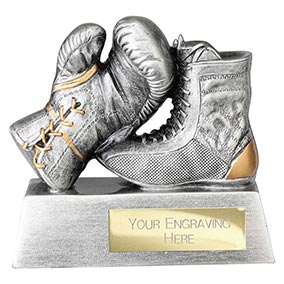 Power Boxing Trophy 100mm