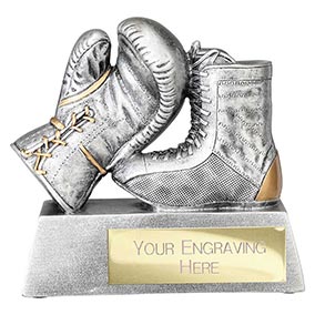 Power Boxing Trophy 120mm