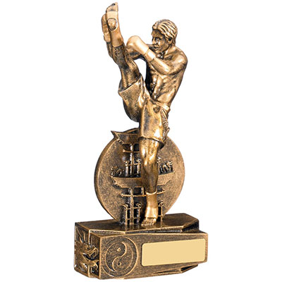 230mm Male Kickboxing Award