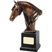 11.5in Bronze Horse Head Award