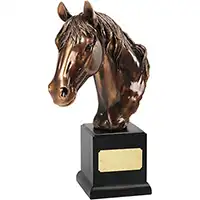 14in x 10in Bronze Horse Head Award