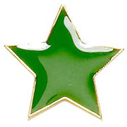 Green Flat Star Badge 20mm