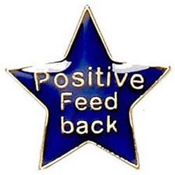 Blue Positive Feedback Star Badge 20mm