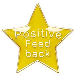 Yellow Positive Feedback Star Badge 20mm