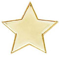 Gold Star Badge 20mm