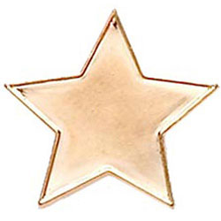 Bronze Star Badge 20mm