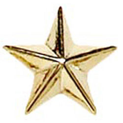 Gold Raised Star Badge 12mm