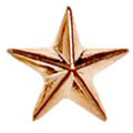 Bronze Raised Star Badge 12mm