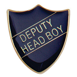 Scholar Pin Badge Deputy Head Boy Blue