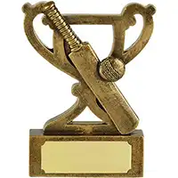 3.25in Mini Cup Cricket Award