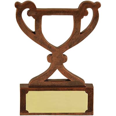 3.25in Mini Cup Bronze Award