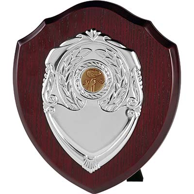5in Single Silver Shield
