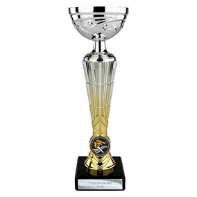 Hyper Silver and Gold Trophy 295mm Hyper Silver and Gold Trophy 295mm