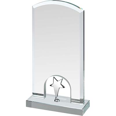9.25in Silver Star Crystal Award