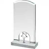 7in Silver Star Crystal Award