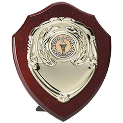 4in Triumph Single Gold Shield