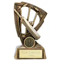 Force Cricket Award 15cm