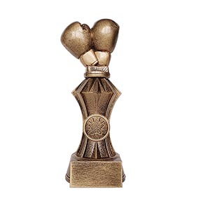 200mm Gold Facet Boxing Award