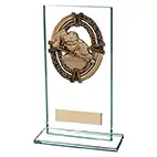 Maverick Glass Pool Snooker Award 160mm