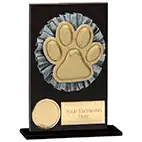 Euphoria Hero Black Glass Dog Agility Award 125mm