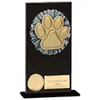 Euphoria Hero Black Glass Dog Agility Award 160mm