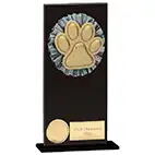 Euphoria Hero Black Glass Dog Agility Award 180mm