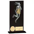 Euphoria Hero Black Glass Netball Award 180mm